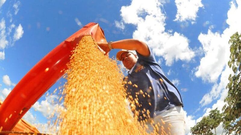 Crescimento da Atividade Econômica Brasileira em Fevereiro de 2026