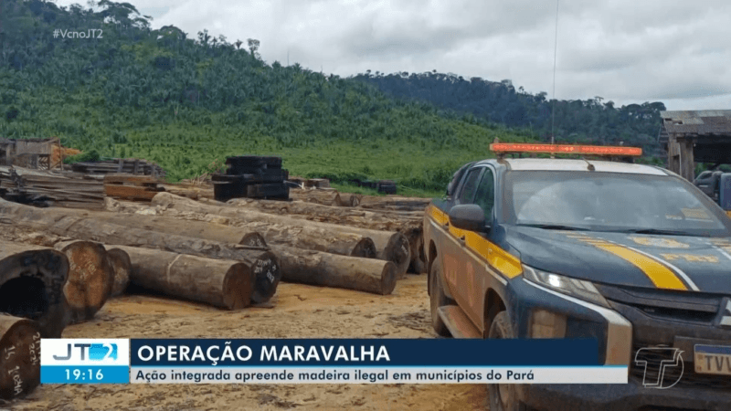 Operação Maravalha: Ação Conjunta Combate Extração Ilegal de Madeira no Oeste do Pará