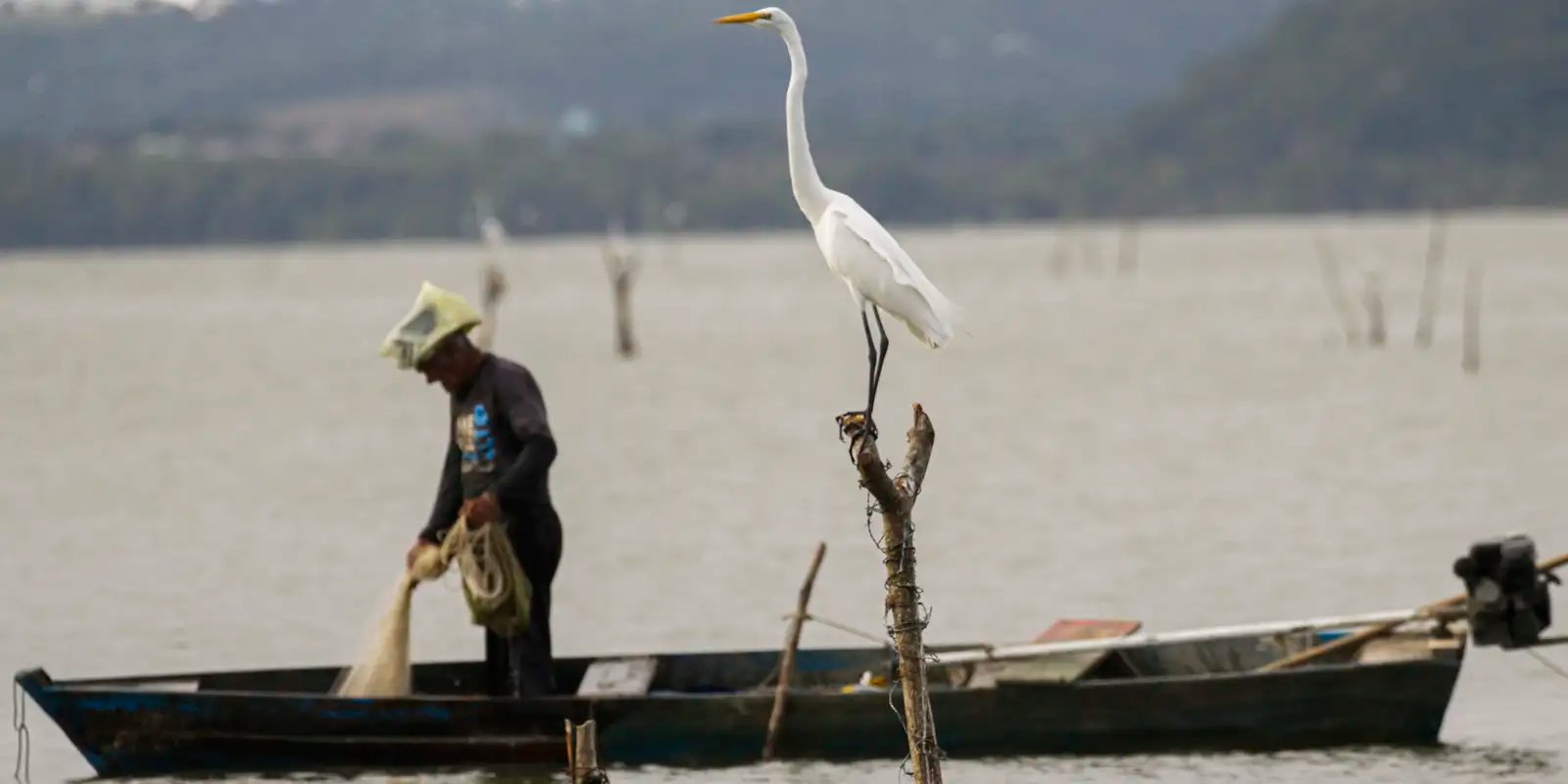 Novas Regras para o Seguro-Defeso: Garantias e Combate às Fraudes