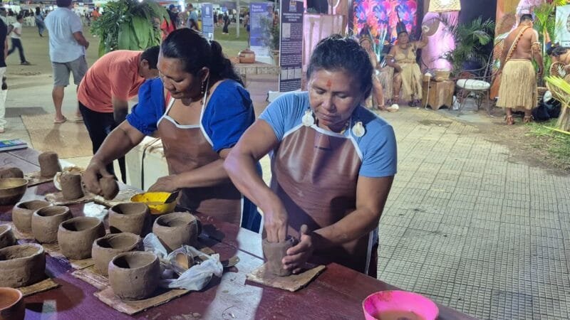 Festival Viva Roraima: Celebração da Cultura Indígena com Oficinas de Artesanato