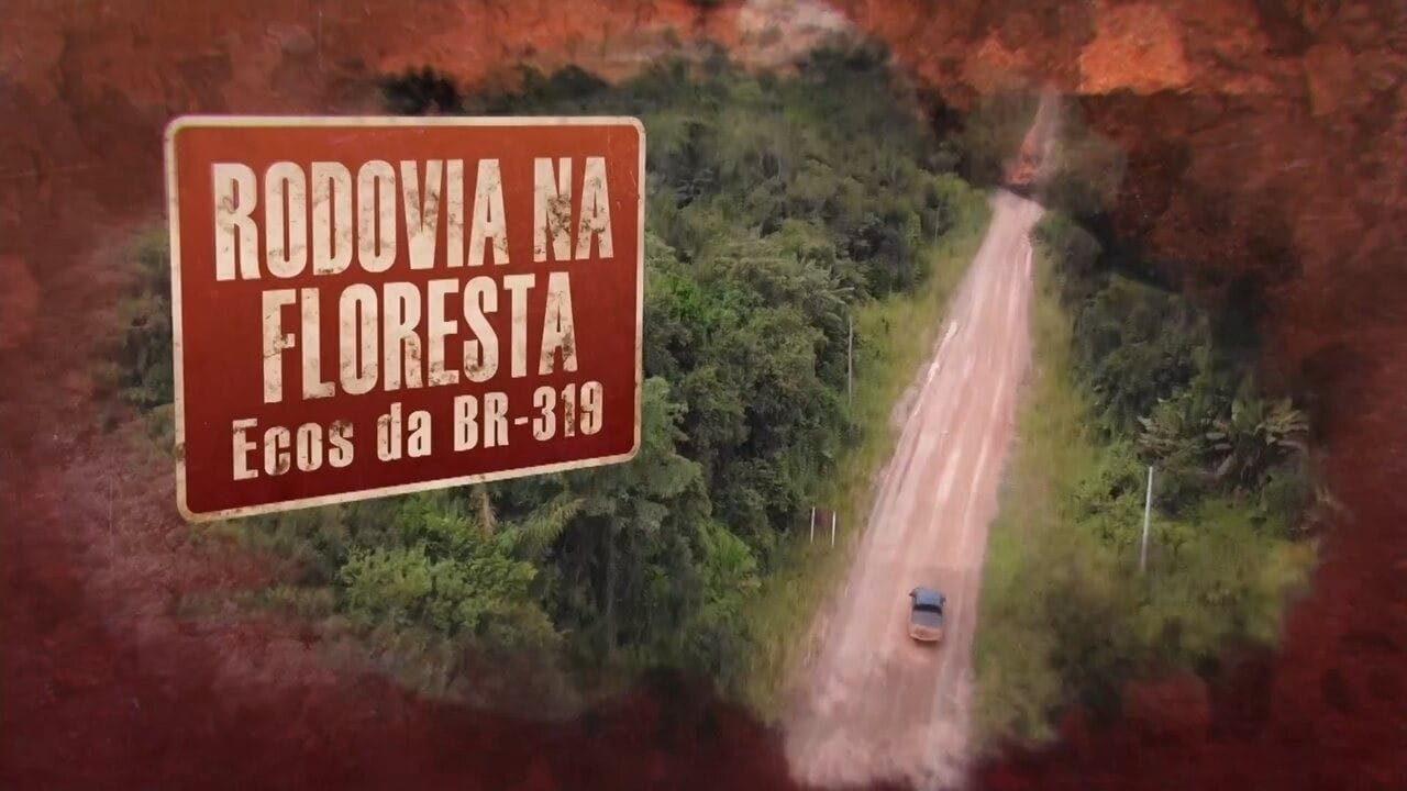 Governo do Amazonas Autoriza Extração de Materiais para Manutenção da BR-319