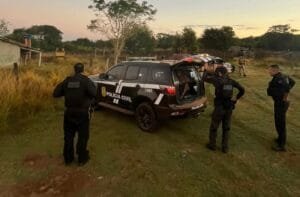 Polícia Civil Desmantela Grupo de Furtos de Gado no Tocantins
