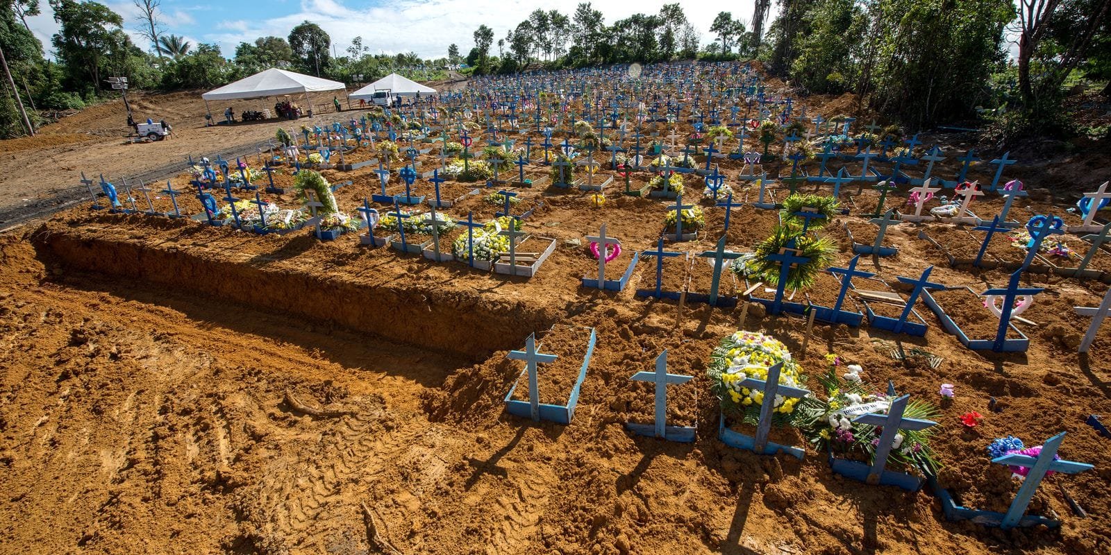 Impactos da Pandemia: Queda na Expectativa de Vida no Brasil Atraída pelo Negacionismo