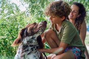 Boehringer Ingelheim: Dicas Essenciais para a Adoção de Pets