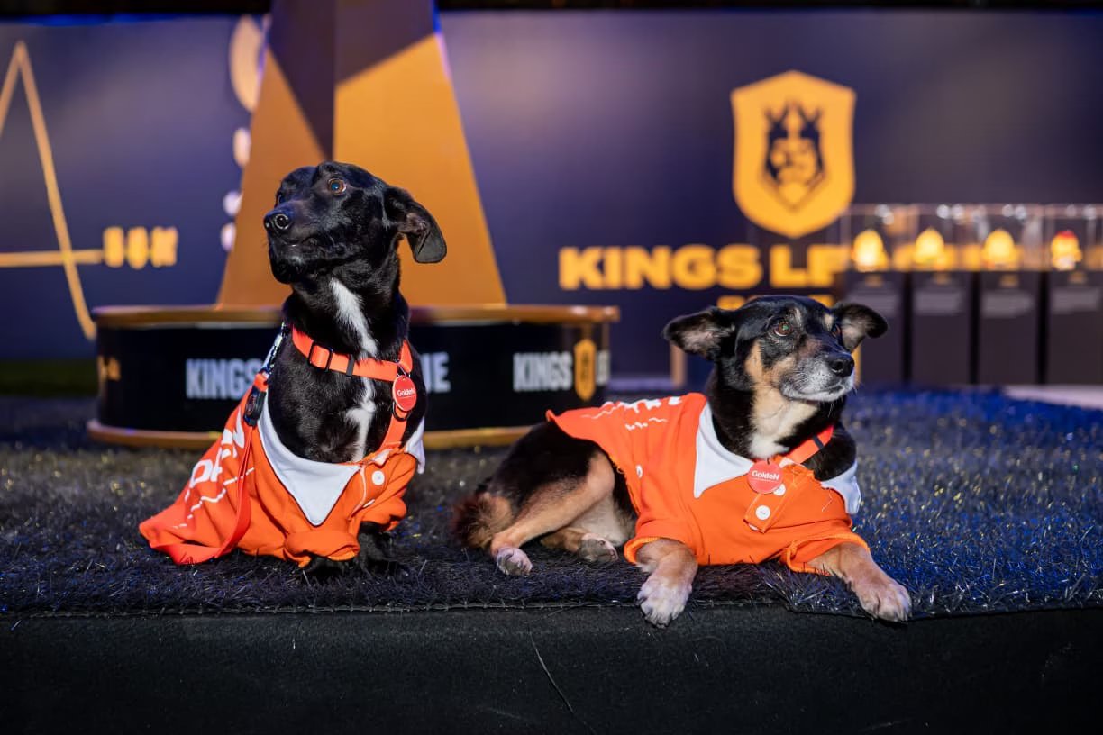 GoldeN Promove Adoção de Animais na Final da Kings League Brasil e Realiza Doação de Alimentos