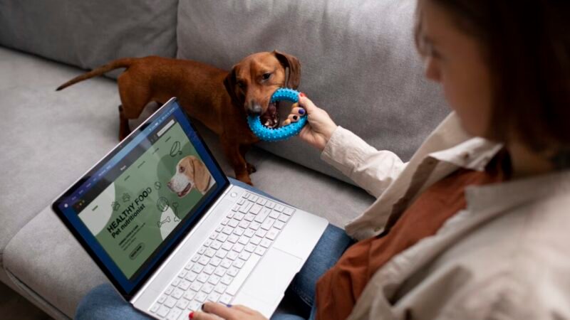 Transformações no Marketing Pet: A Influência de Dados e Comportamentos no Setor Veterinário