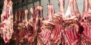 China Suspende Exportações de Frigoríficos Brasileiros por Irregularidades Sanitárias