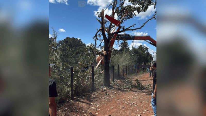 Acidente Aéreo Envolve Helicóptero Próximo à Fazenda de Henrique e Juliano no Tocantins