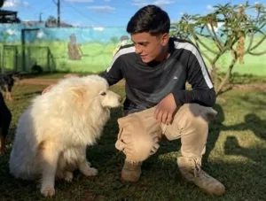 Empresário é Sentenciado a Quatro Anos de Prisão por Maus-Tratos a Cães em Hotel Ilegal no DF