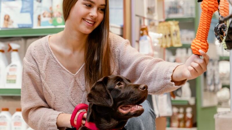 Crescimento do Mercado Pet no Brasil: Uma Nova Realidade Financeira para as Famílias