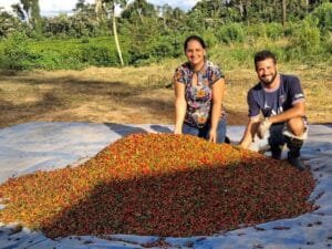 Café Acreano: Pequenos Produtores Ganham Destaque no Agronegócio