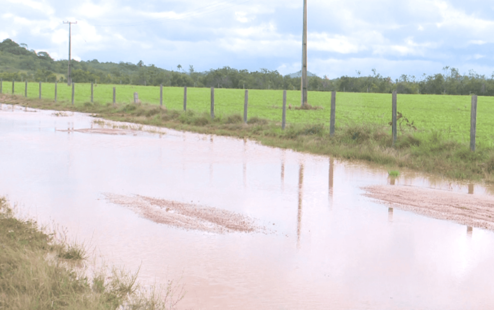 Chuvas em Roraima: Inundações Afetam Agricultura e Comunidades Indígenas