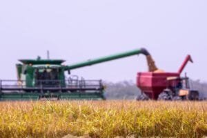 Crescimento do Plantio de Soja em Roraima: Expectativas para 2026