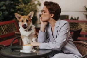 Babás de Cães de Luxo: Um Mercado em Crescimento nos EUA
