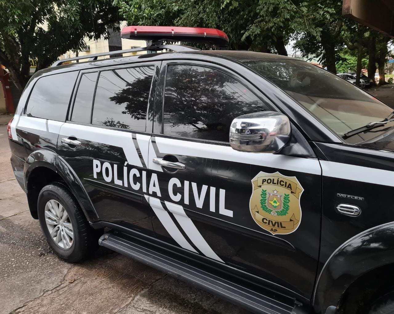 Suspeito de Matar Cadela em Macapá é Indiciado por Maus-Tratos