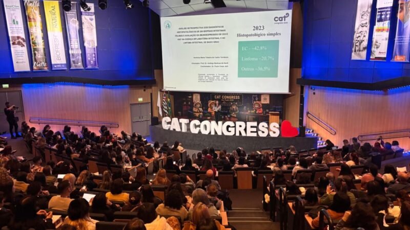 A Importância da Biópsia no Diagnóstico de Enteropatias Crônicas em Felinos