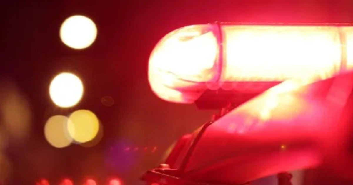 Mulher é presa no Pará por desvio de R$ 5 milhões de empresa