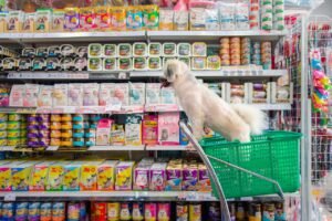 Distribuidores: O Elo Estratégico do Crescimento do Mercado Veterinário no Brasil
