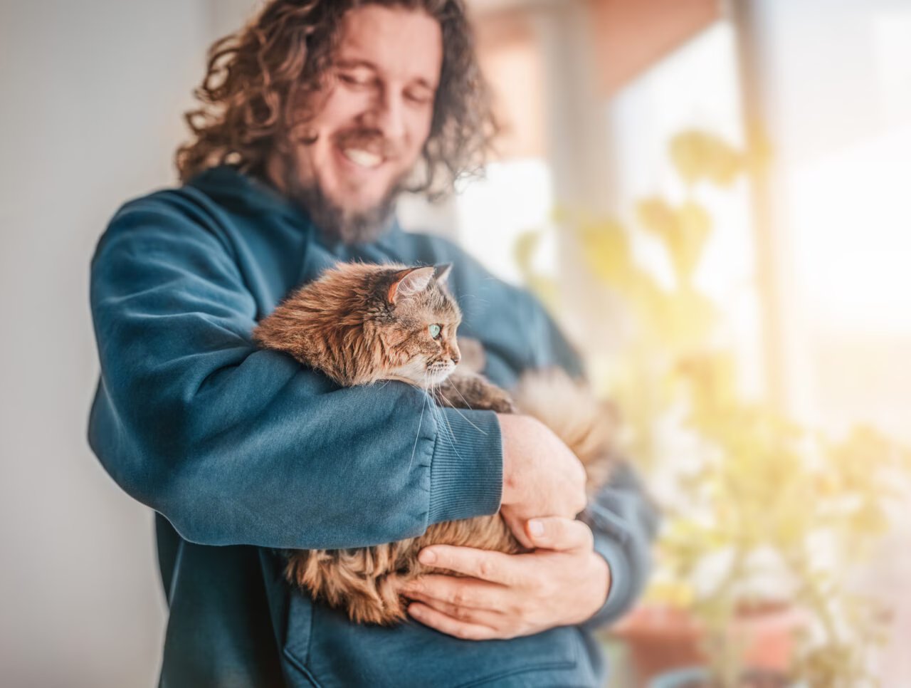 Crescimento dos Suplementos para Gatos: Entenda a Nova Tendência do Mercado Pet