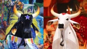 Caprichoso e Garantido: O Grande Encontro no Festival de Parintins 2026