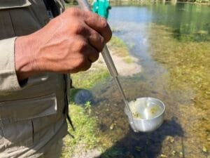 Queda de Casos de Malária no Amazonas: Dados e Medidas de Prevenção
