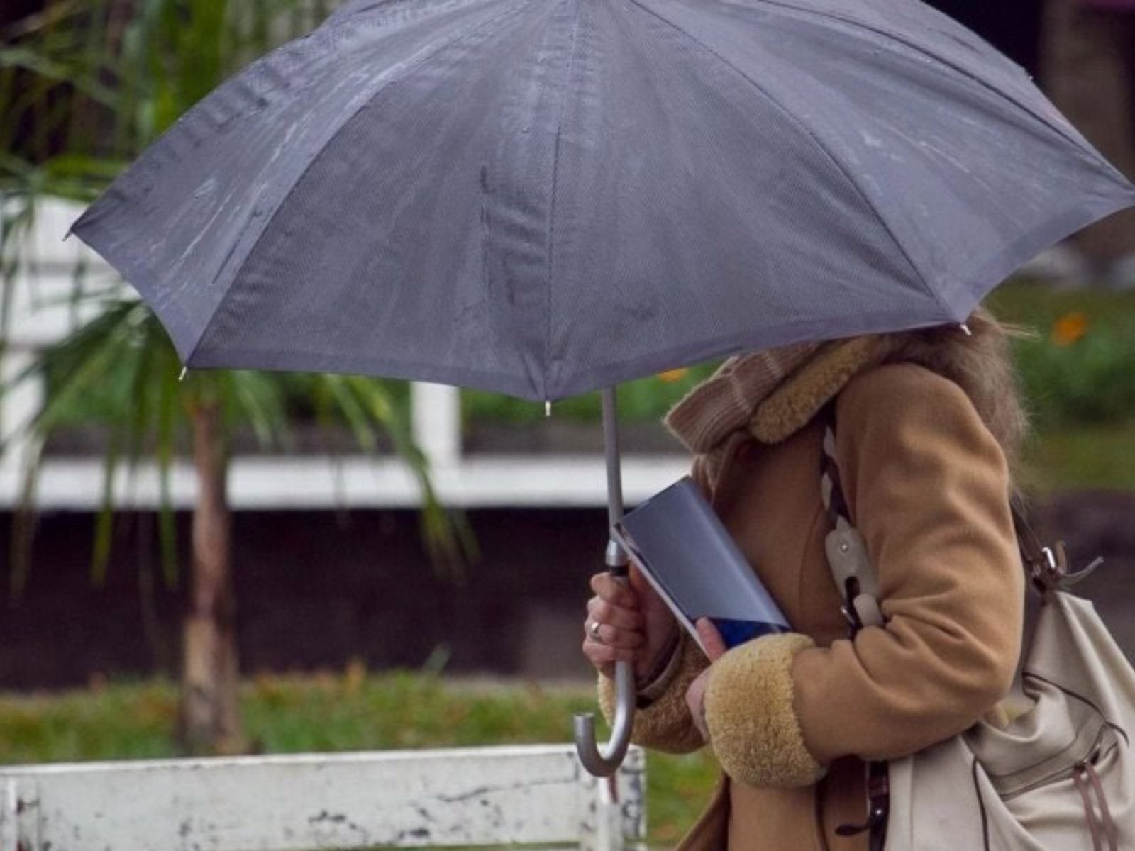 Frente Fria Alcança Rio Branco com Previsão de 15ºC