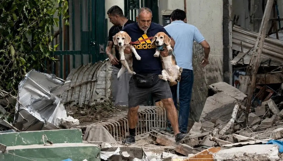 Animais de Estimação Resgatados em Meios aos Escombros Após Terremotos na Venezuela