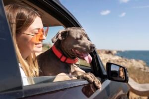 Governo Lança Pesquisa Nacional para Aperfeiçoar Estrutura de Viagens com Animais de Estimação no Brasil