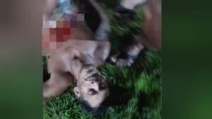 Tragédia em Belterra: Homem é Esfaqueado e Morre em Praça Pública