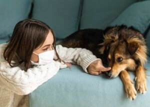 Cães como Aliados na Terapia de Saúde Mental: Uma Nova Abordagem