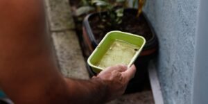 Impactos do El Niño na Saúde Pública: Risco Aumentado de Dengue e Chikungunya no Brasil