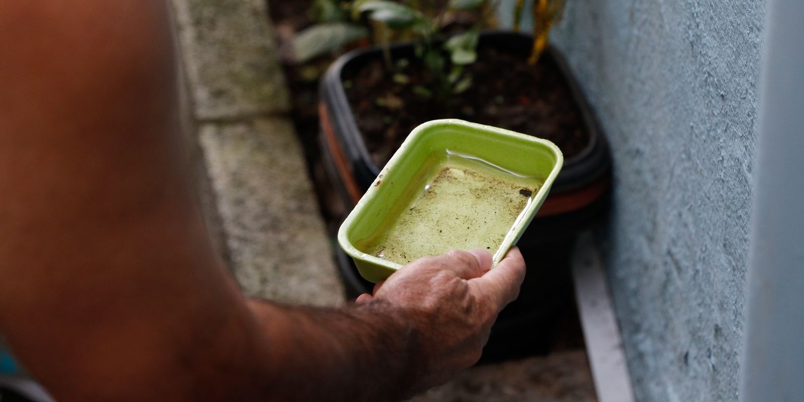 Impactos do El Niño na Saúde Pública: Risco Aumentado de Dengue e Chikungunya no Brasil