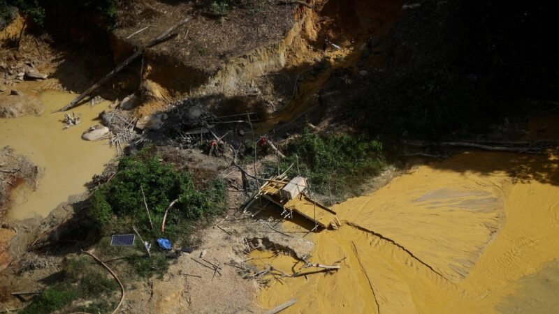 MPF Rejeita Acordo de Filipe Galvão Envolvido em Garimpo Ilegal na Terra Yanomami