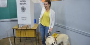 Cresce o Número de Eleitores com Deficiência no Brasil para as Eleições de 2026