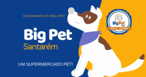 Big Pet Santarém