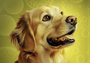 Julho Dourado: A Revolução na Imunização de Cães e Gatos