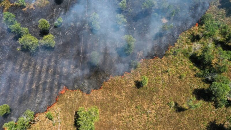 FAS Realiza Mesa-Redonda sobre Desmatamento Zero e Ação Climática na Amazônia