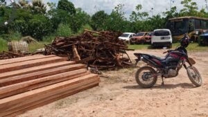 Polícia Civil do Amapá Desmantela Desmatamento Ilegal em Reserva Federal