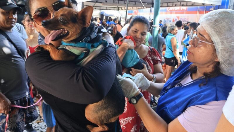 Serviço de Saúde Animal Itinerante em Mosqueiro: Atendimentos Gratuitos até 30 de Julho