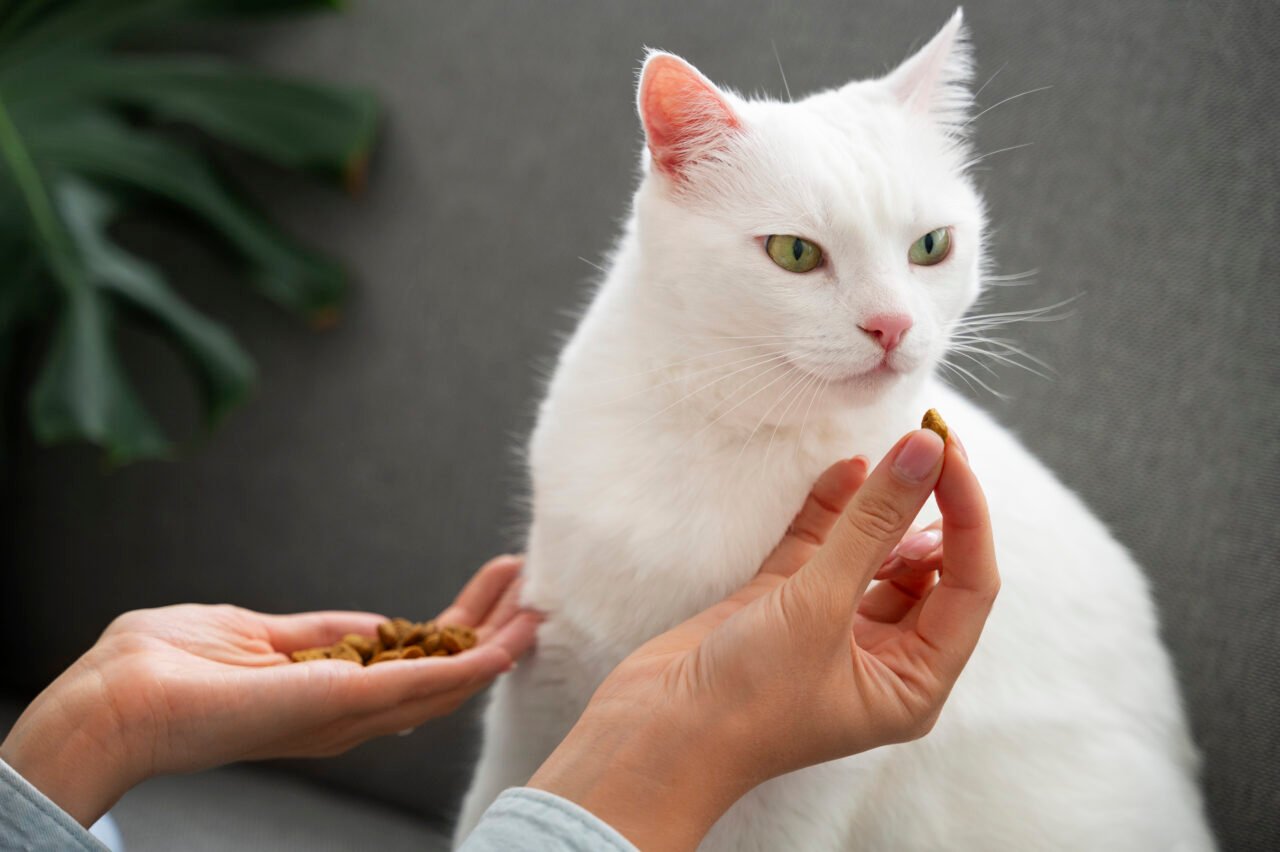 Dietas Terapêuticas para Cães e Gatos: Indicações e Benefícios no Tratamento