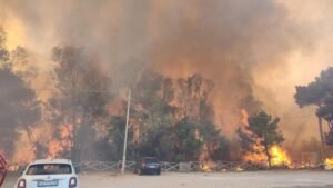 A Crise dos Incêndios na Itália: Um Alerta para a Falta de Prevenção
