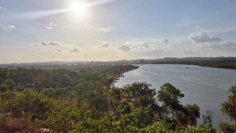 Amazônia Registra Menor Área Queimada Desde 1985, Segundo Relatório