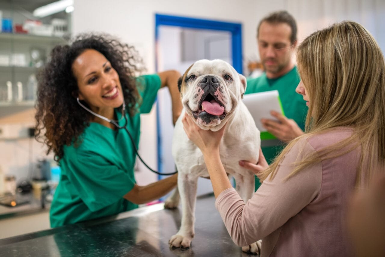A Nova Era da Medicina Veterinária: Foco na Prevenção e Cuidado Contínuo