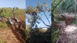 Incidente com Drone Agrícola Provoca Apagão em Monte Alegre e Prainha no Pará