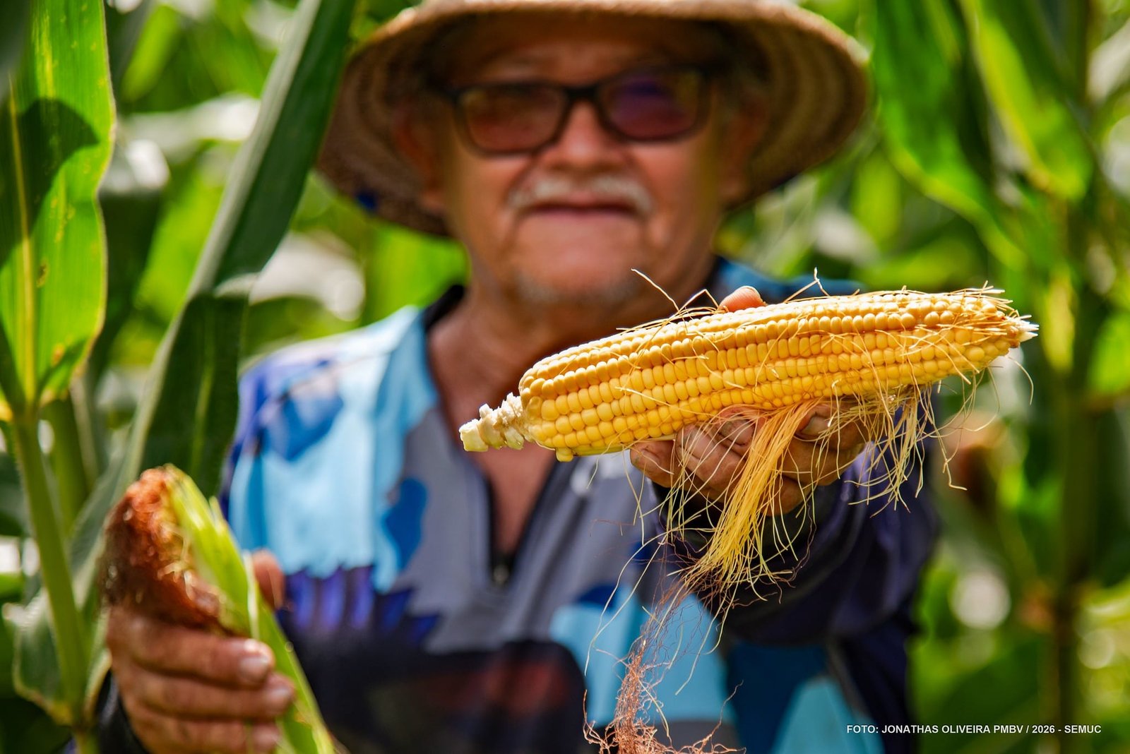 Boa Vista: 136 Anos de História e a Contribuição dos Agricultores