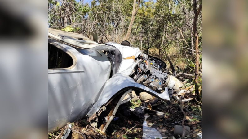 Tragédia Aérea em Palmas: Médico e Esposa Morrem em Acidente de Avião