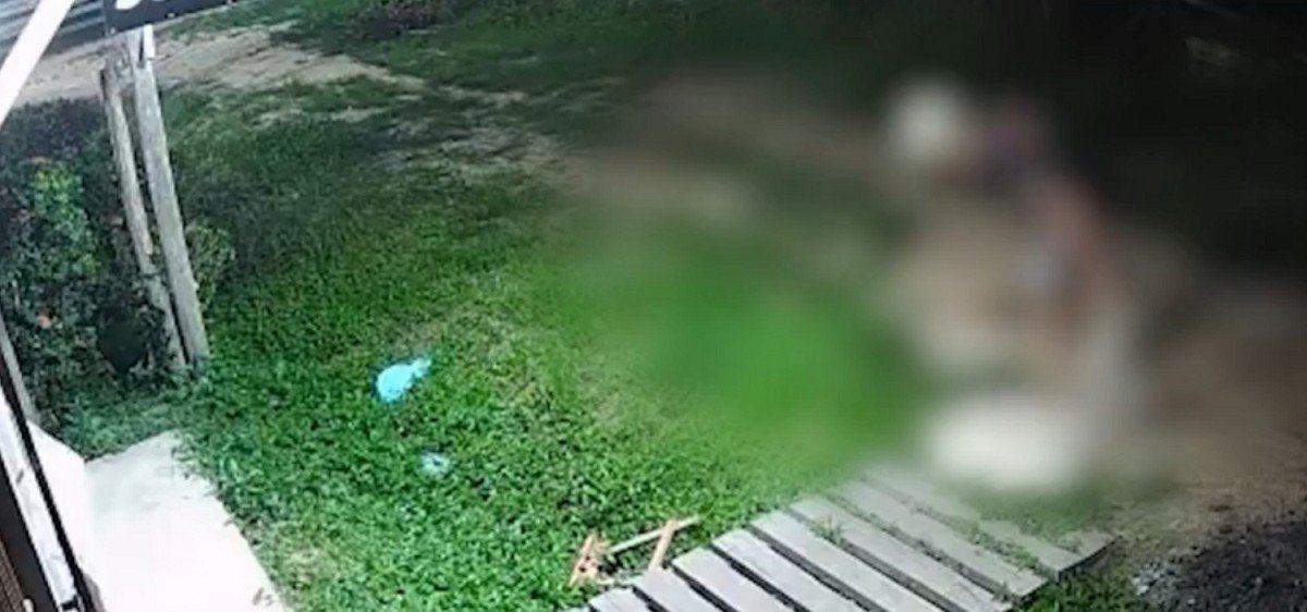 Homem Detido por Maus-Tratos a Gato em Muaná: Entenda o Caso