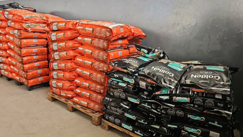 Instituto PremieRpet realiza doação significativa de alimentos para animais resgatados