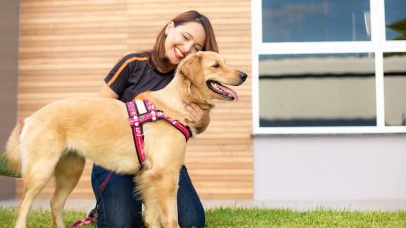 Serviço de Concierge para Pets: Uma Nova Tendência no Cuidado Animal