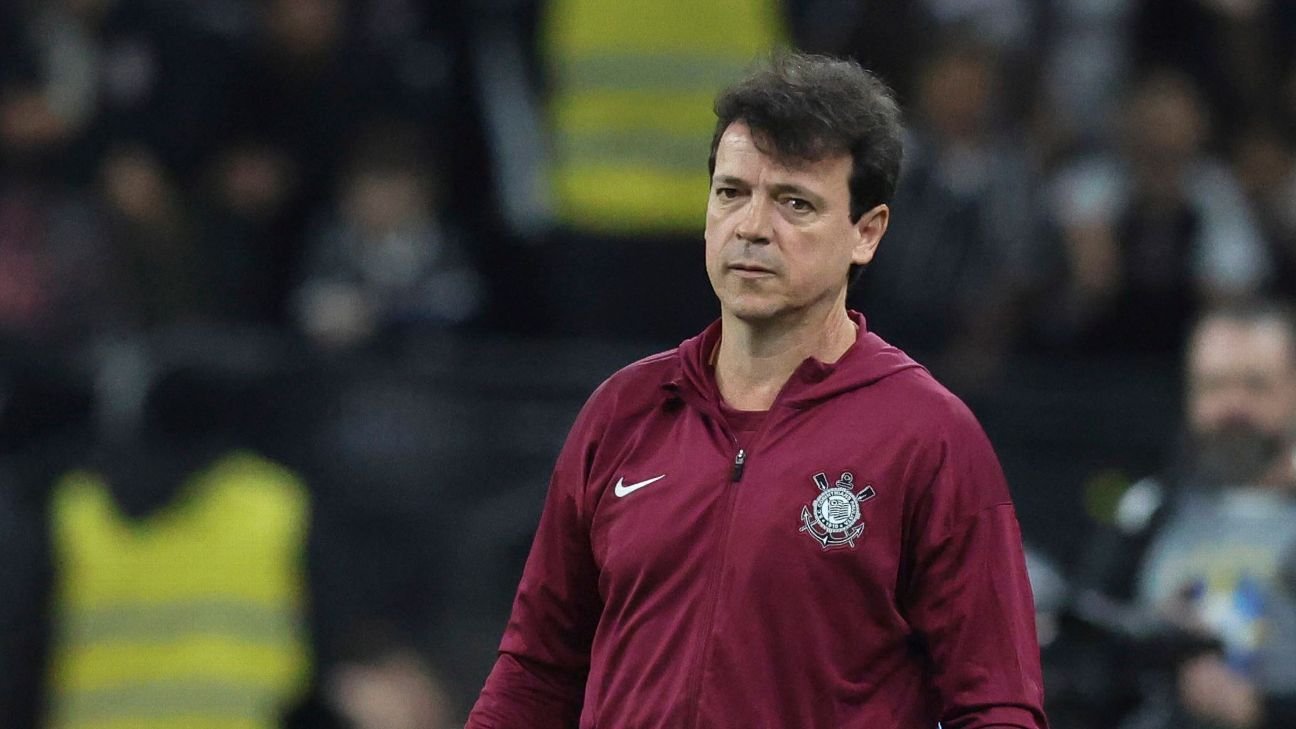 Diniz critica estado do gramado no estádio do Corinthians